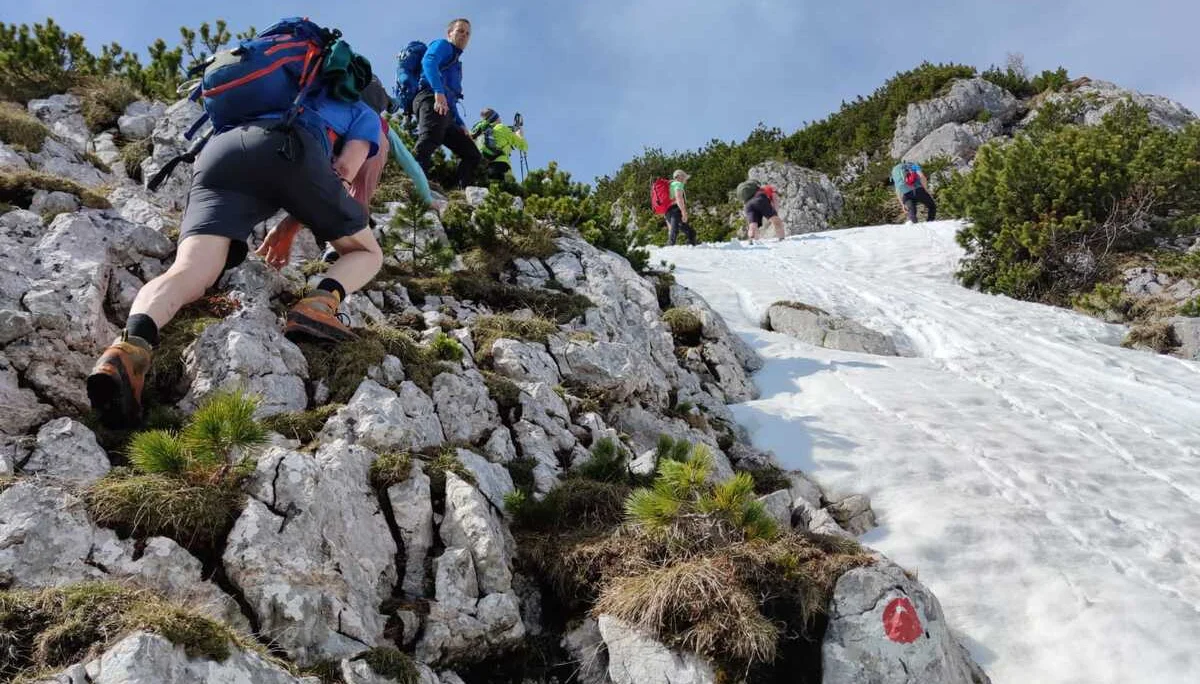 Edelweißlahnerkopf | © DAV Laufen