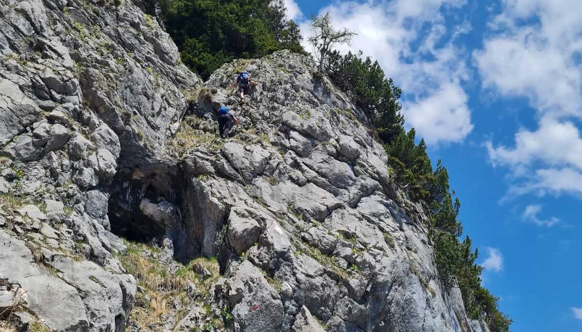 Edelweißlahnerkopf | © DAV Laufen