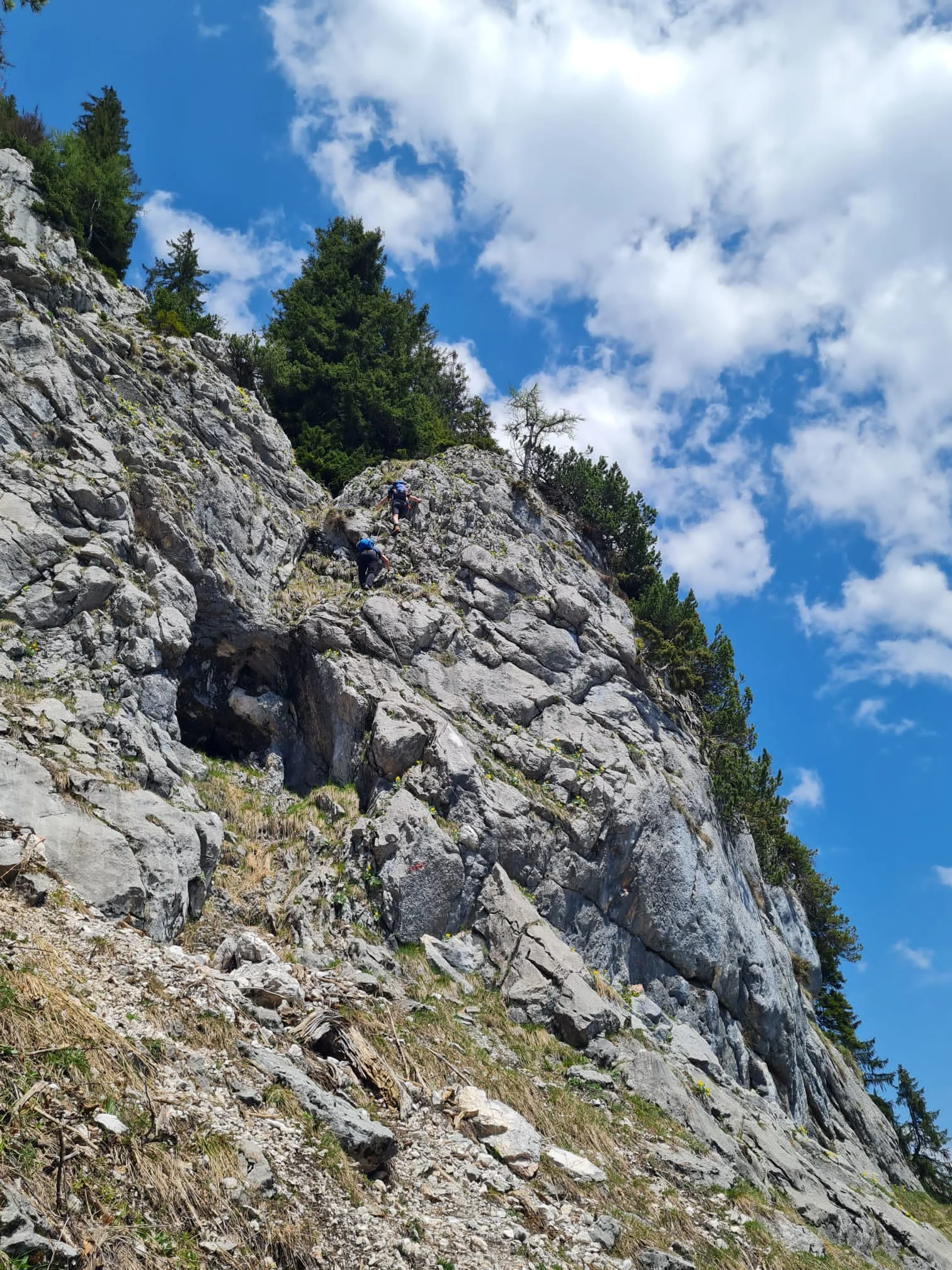 Edelweißlahnerkopf | © DAV Laufen