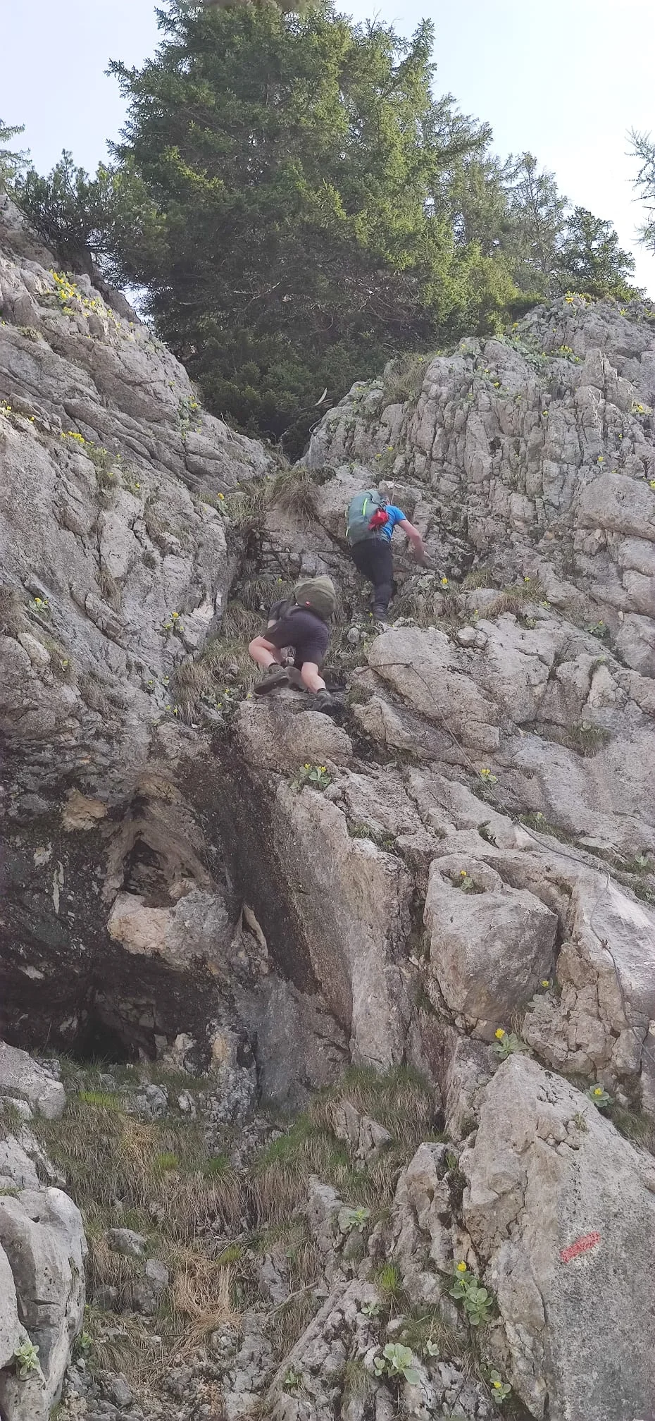 Edelweißlahnerkopf | © DAV Laufen