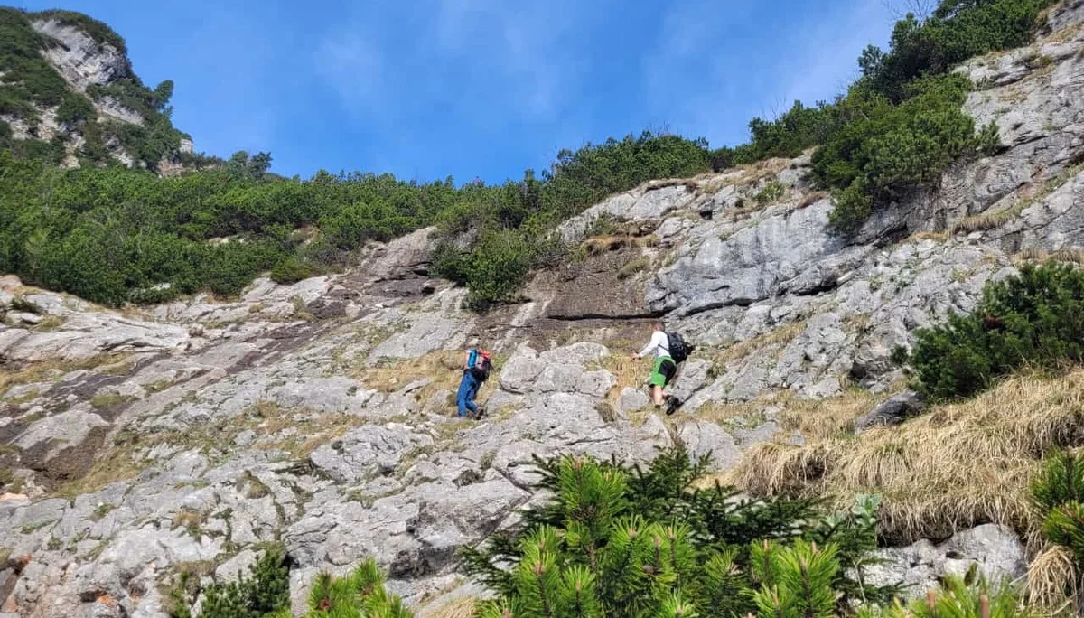 Edelweißlahnerkopf | © DAV Laufen
