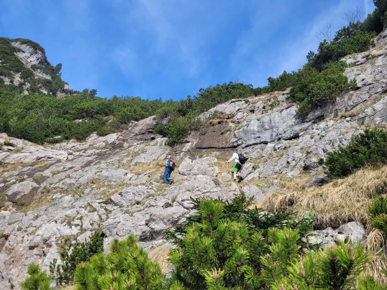 Edelweißlahnerkopf | © DAV Laufen