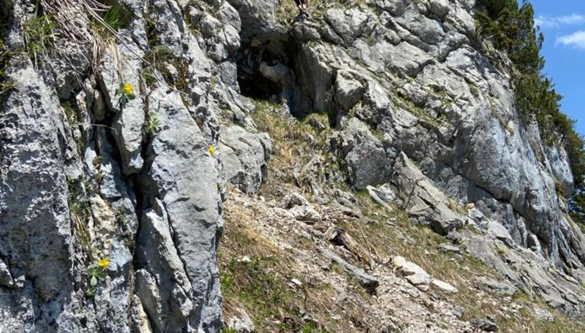 Edelweißlahnerkopf | © DAV Laufen