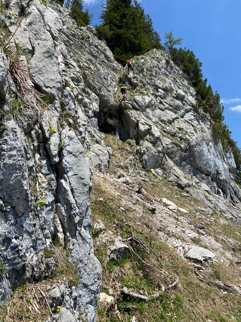 Edelweißlahnerkopf | © DAV Laufen