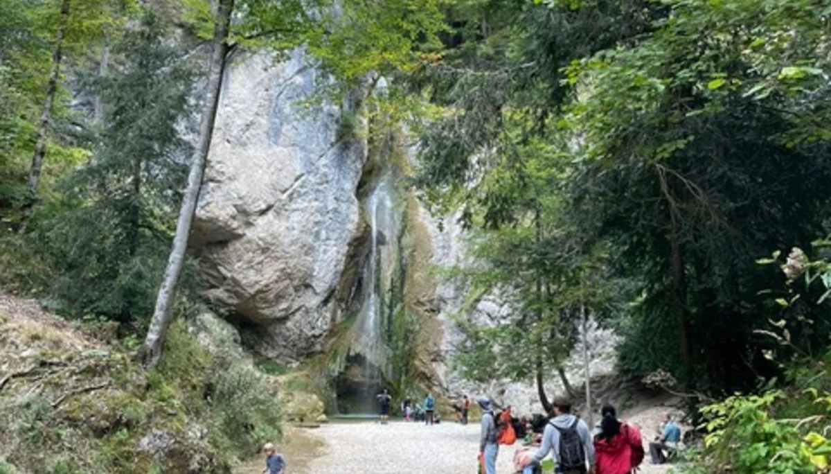 Familiengruppe – Naturdenkmal Plötz | © DAV Laufen