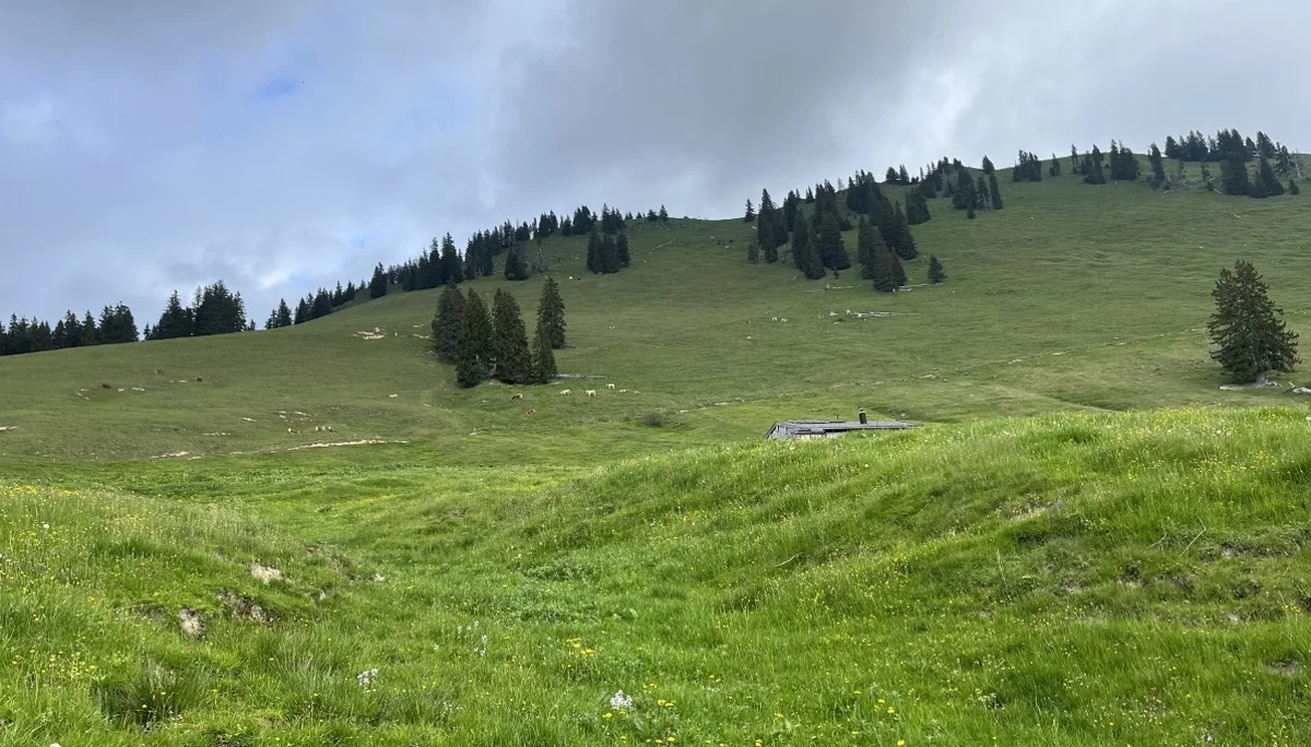 Haaralmschneid | © DAV Laufen