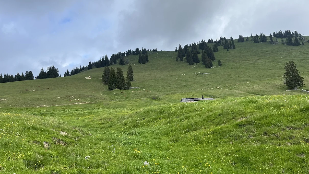 Haaralmschneid | © DAV Laufen