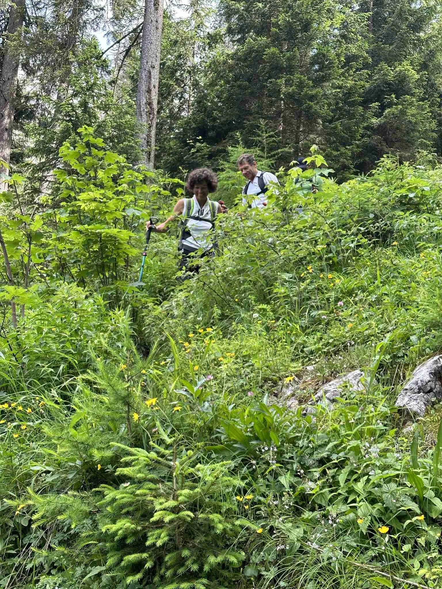 Hinterbergkopf | © DAV Laufen