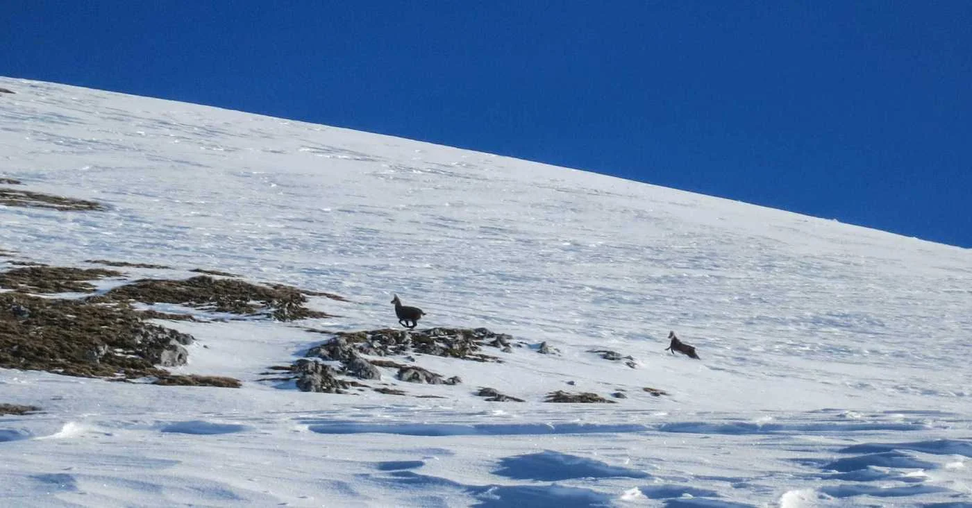Skitourentreffen | © DAV Laufen