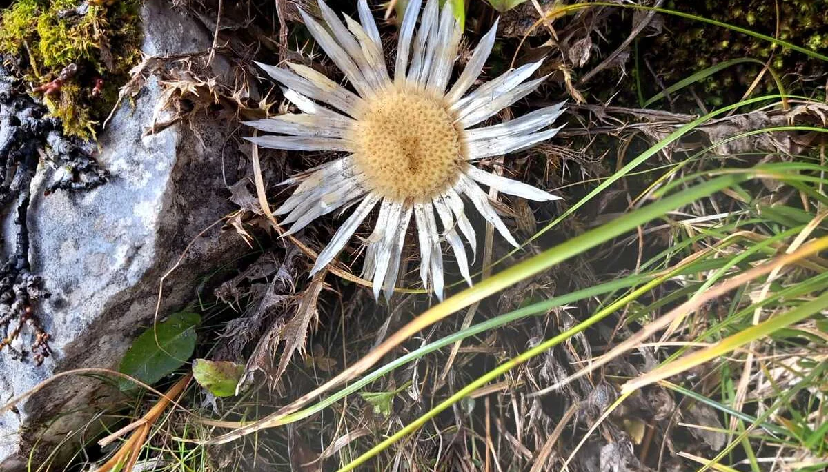 Aktivwochenende | © DAV Laufen