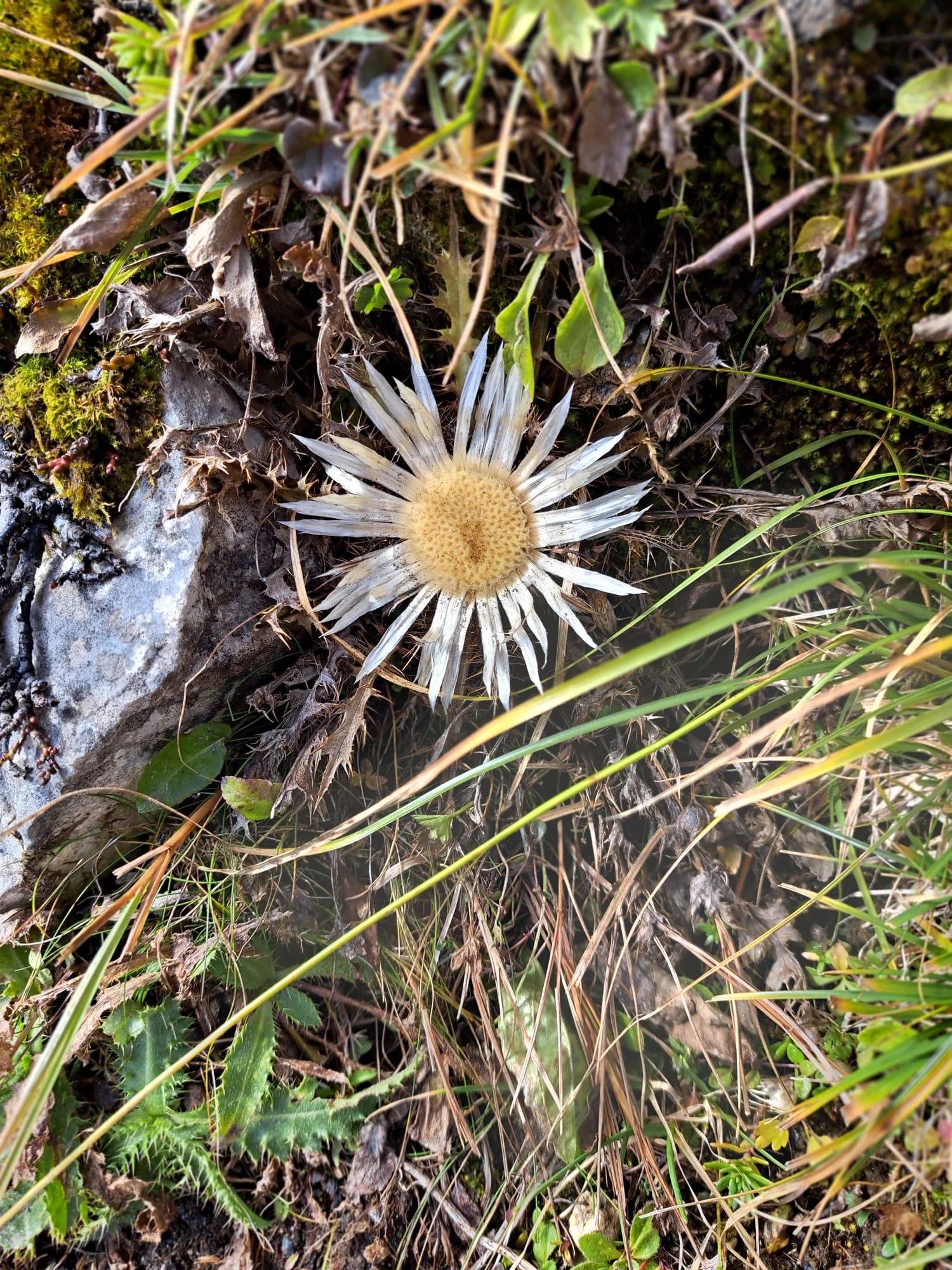 Aktivwochenende | © DAV Laufen