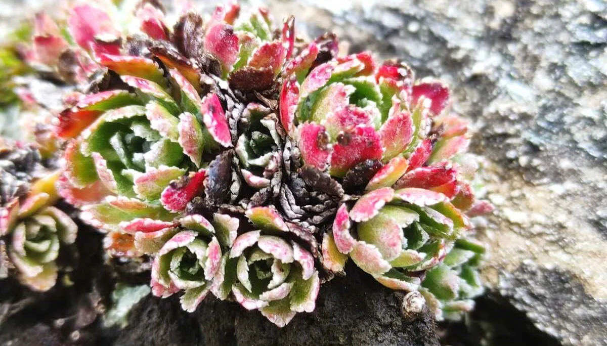 Aktivwochenende | © DAV Laufen