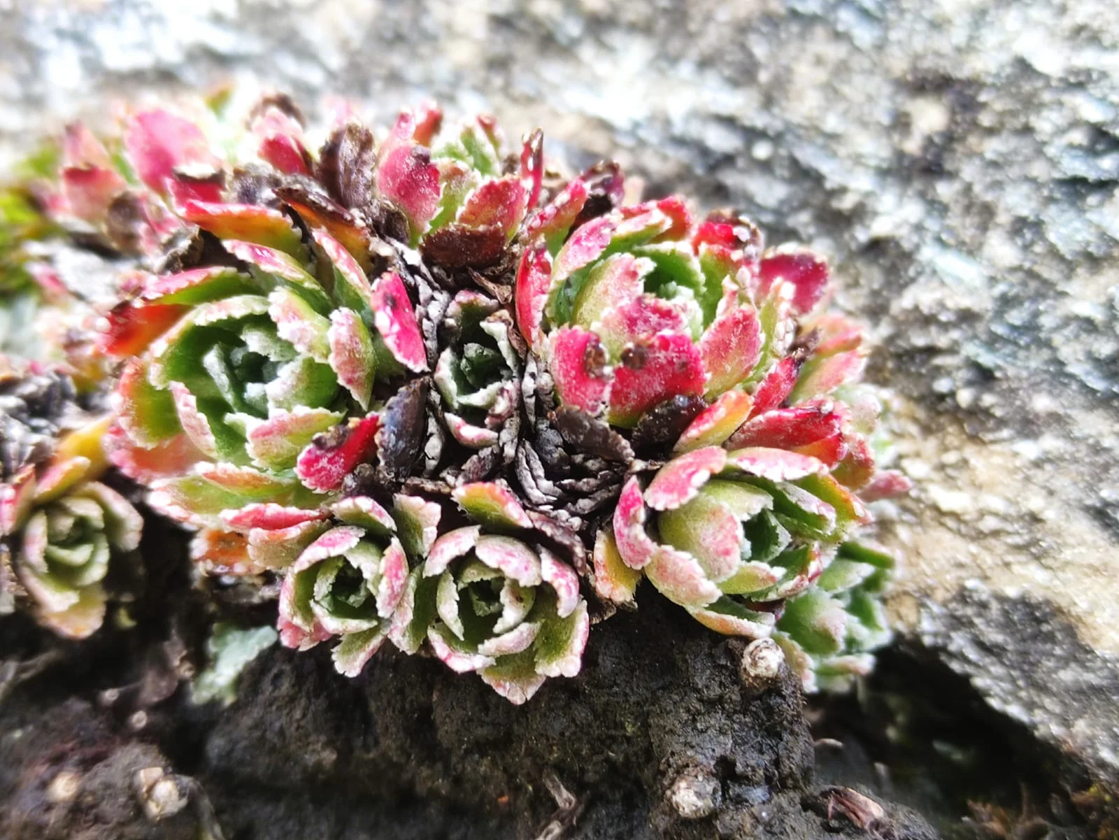 Aktivwochenende | © DAV Laufen