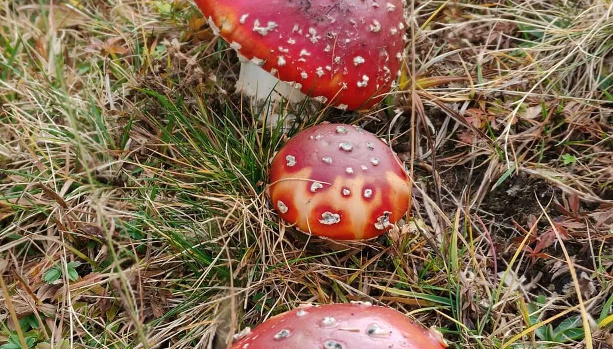 Aktivwochenende | © DAV Laufen