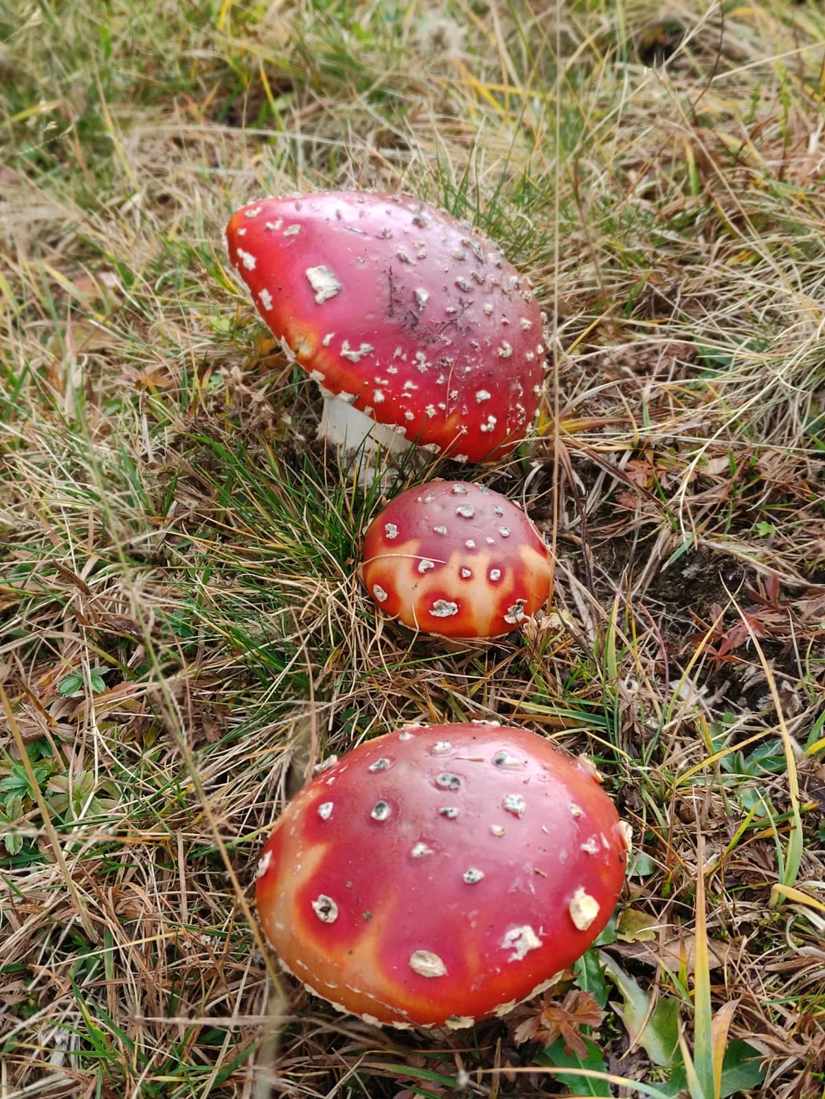 Aktivwochenende | © DAV Laufen