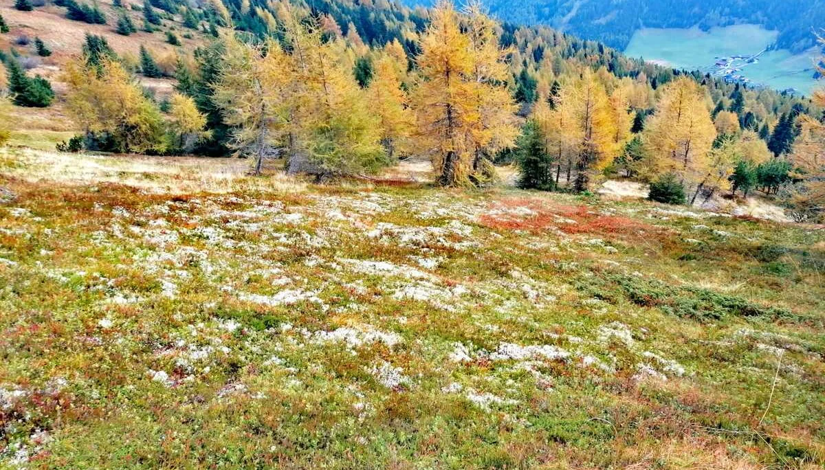 Aktivwochenende | © DAV Laufen