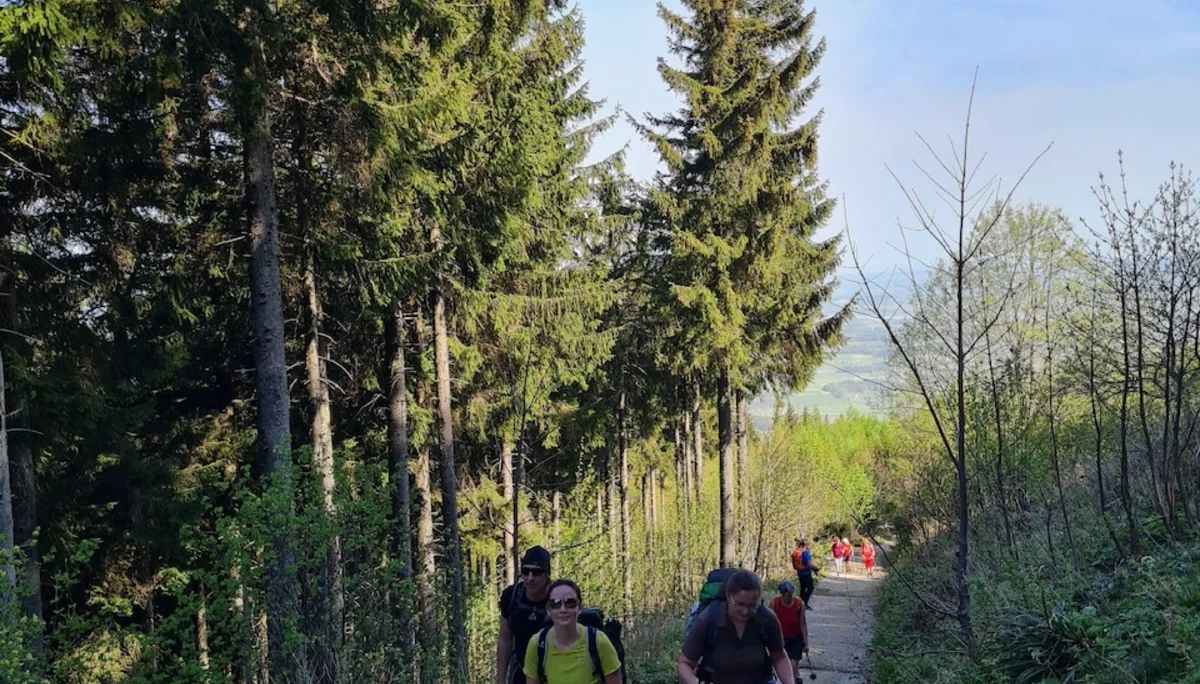 Doppelte Stoißer Alm | © DAV Laufen