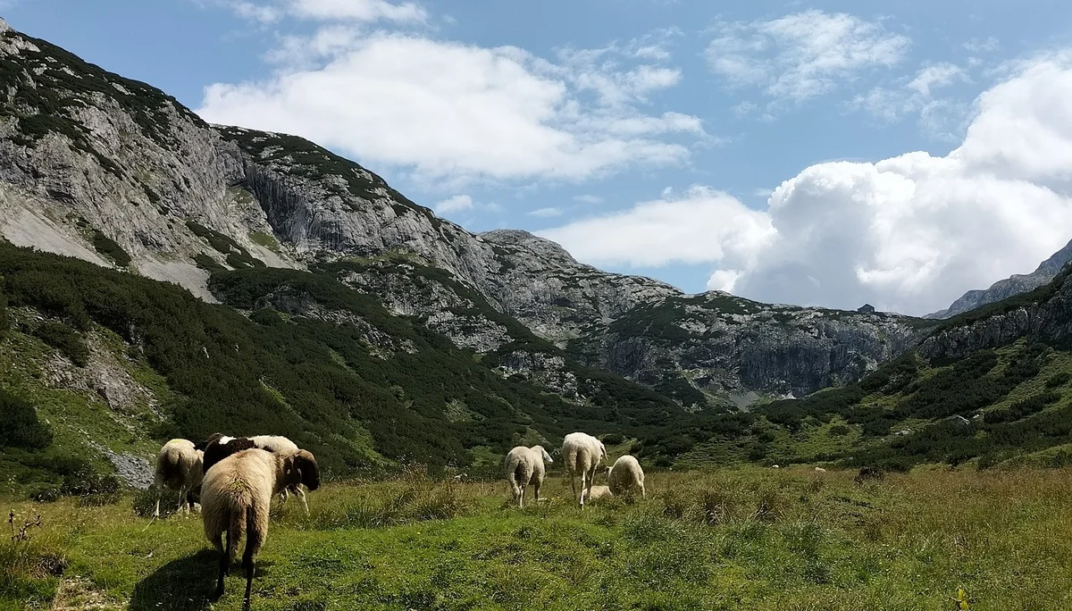 Happisch Haus | © DAV Laufen