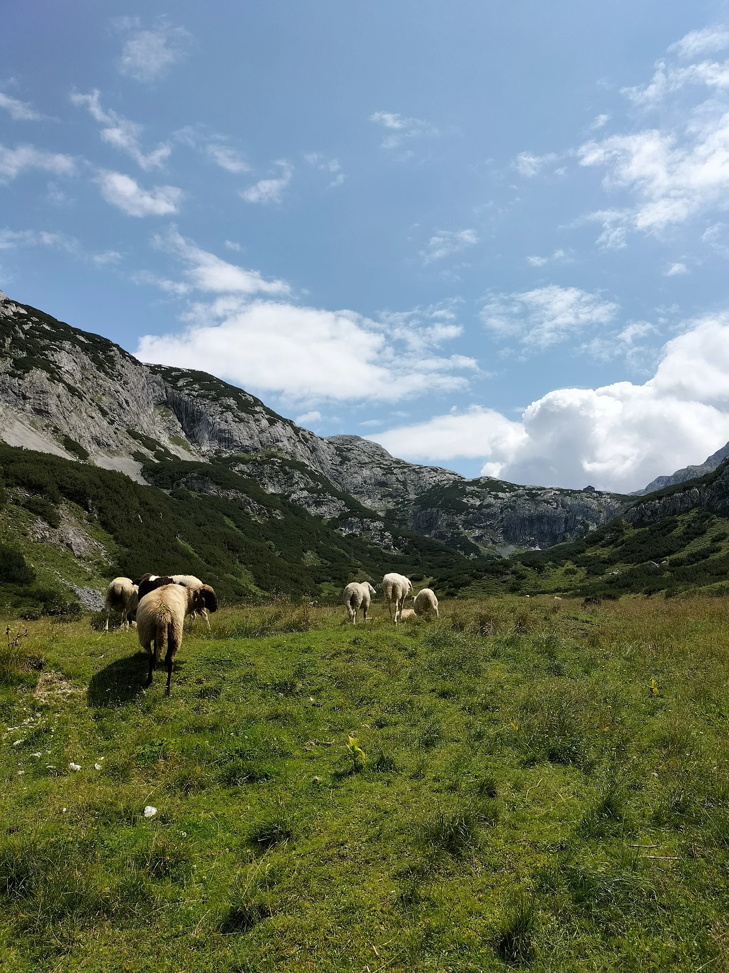 Happisch Haus | © DAV Laufen