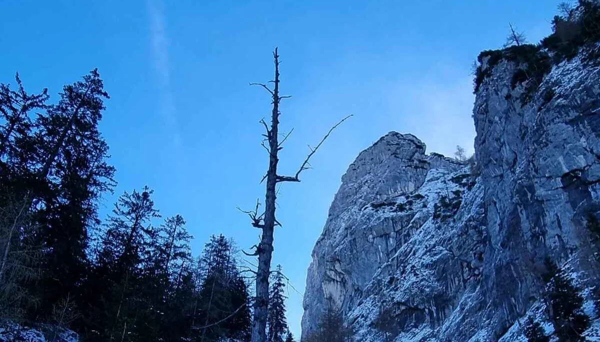 Göll | © DAV Laufen