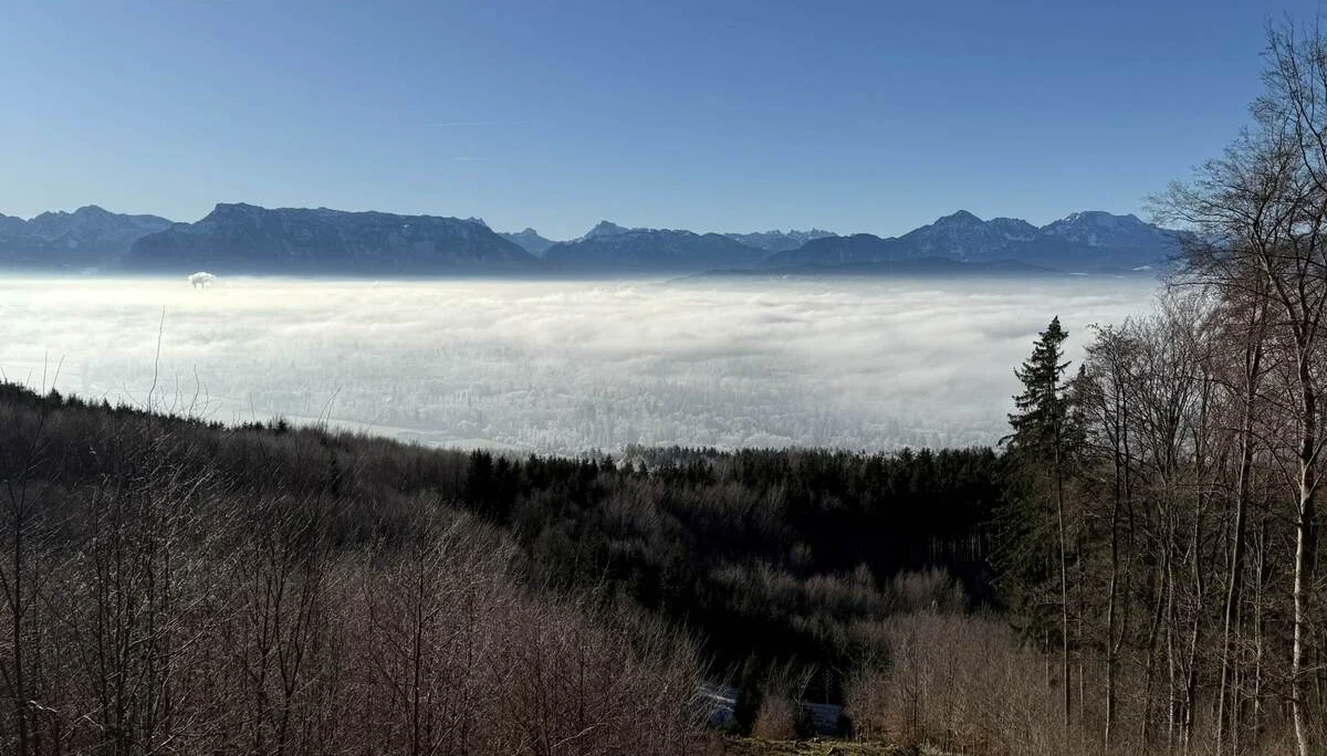 Silvesterwanderung | © DAV Laufen