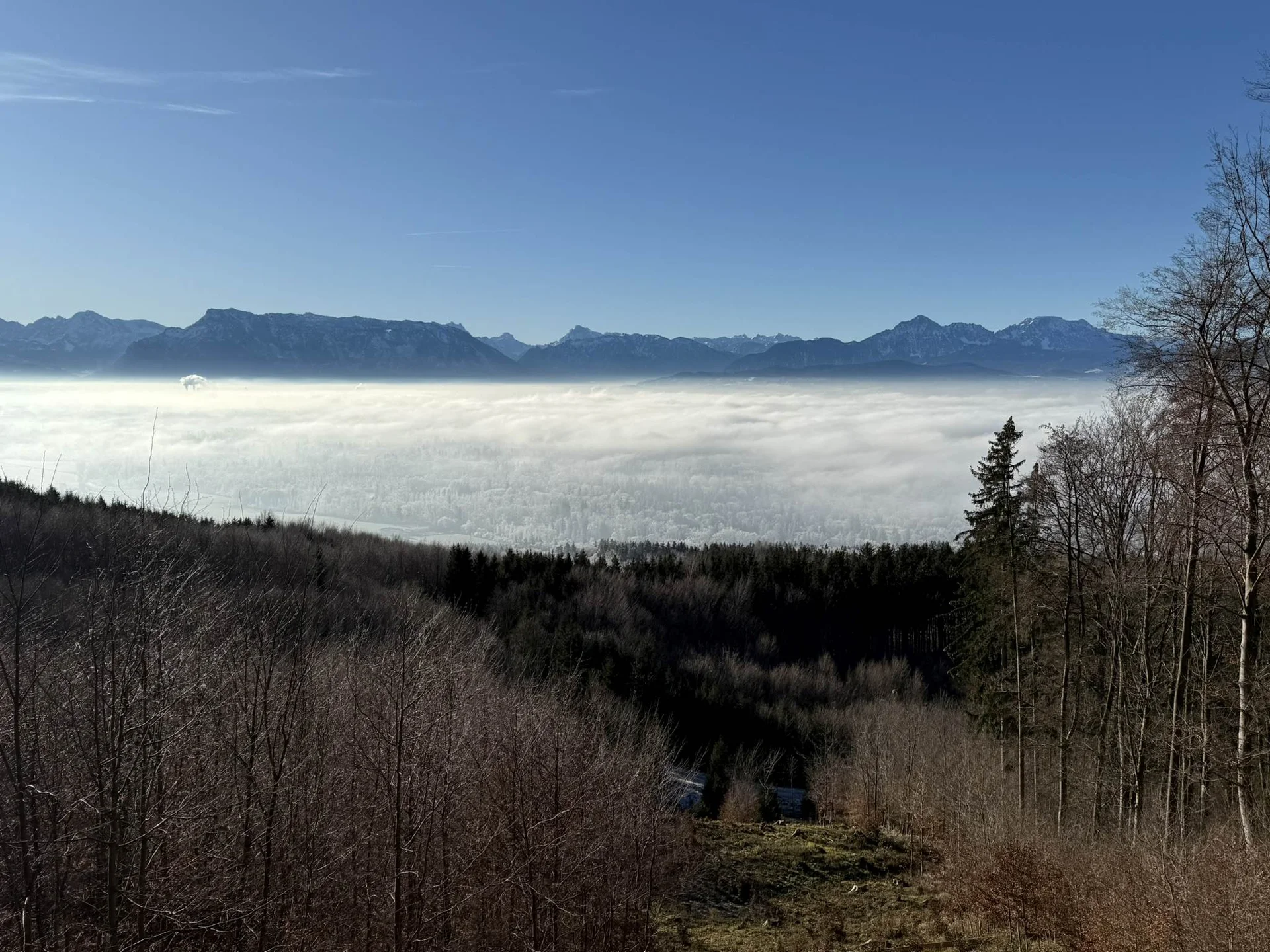 Silvesterwanderung | © DAV Laufen