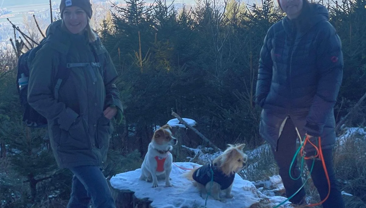 Silvesterwanderung | © DAV Laufen