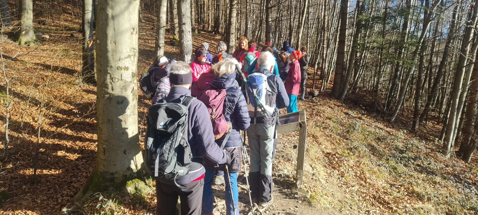 Silvesterwanderung | © DAV Laufen