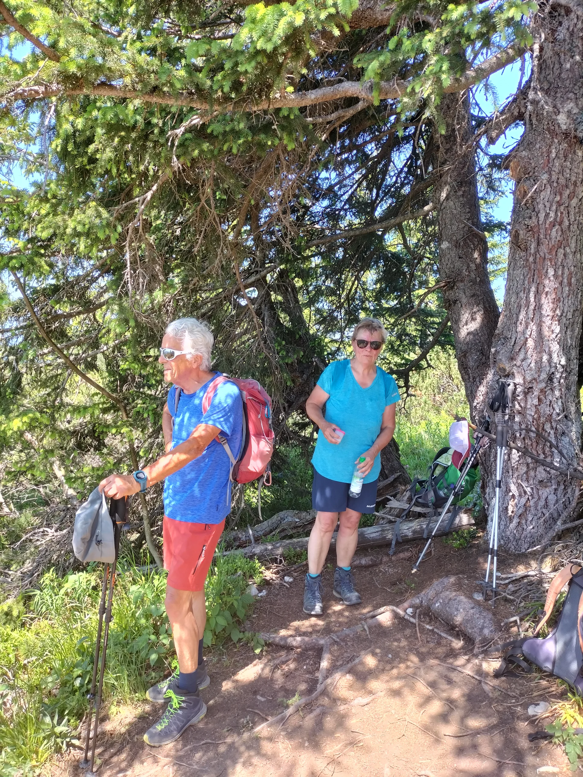 22.6. Allgemeintour | © DAV Laufen