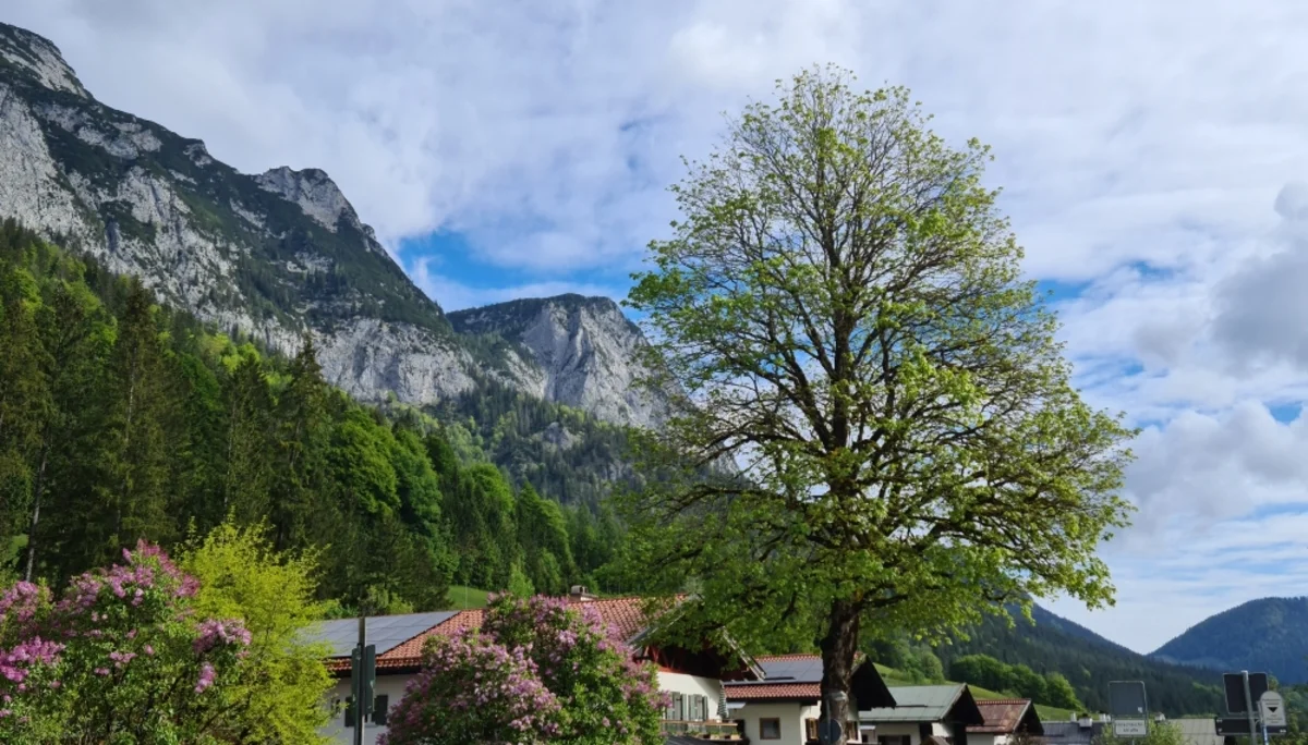 Fachexkursion | © DAV Laufen
