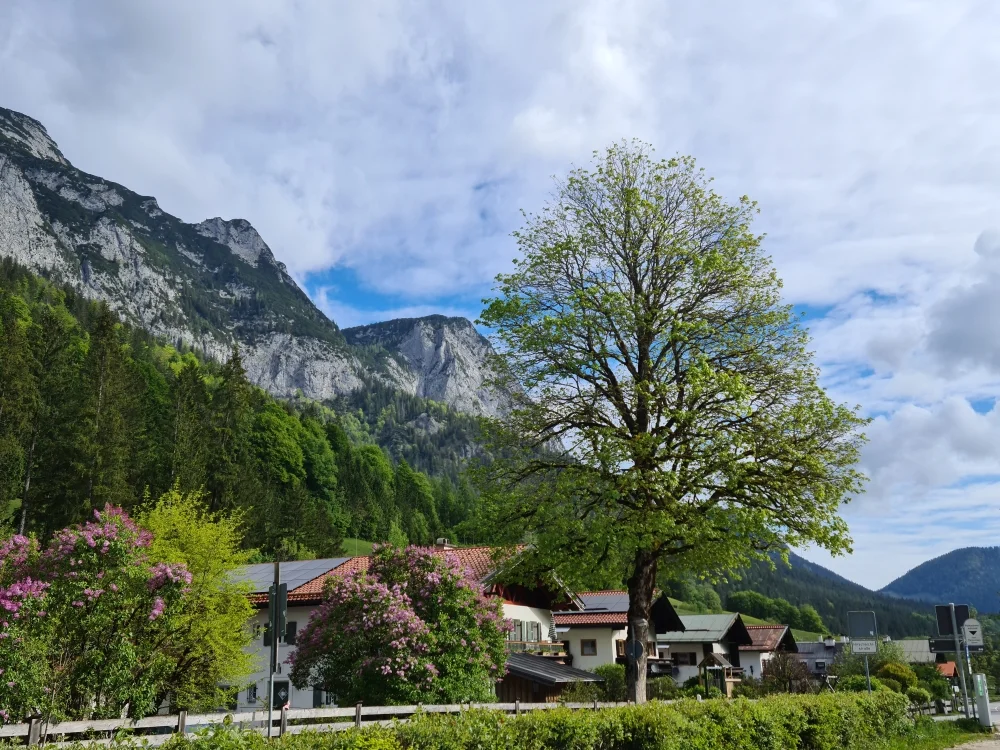 Fachexkursion | © DAV Laufen