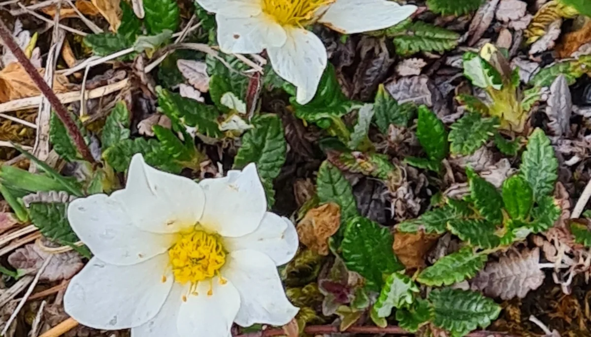 Fachexkursion | © DAV Laufen