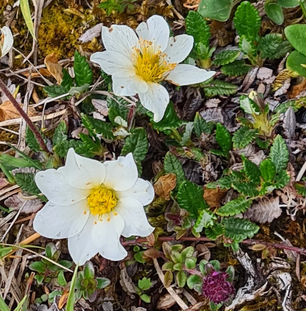 Fachexkursion | © DAV Laufen