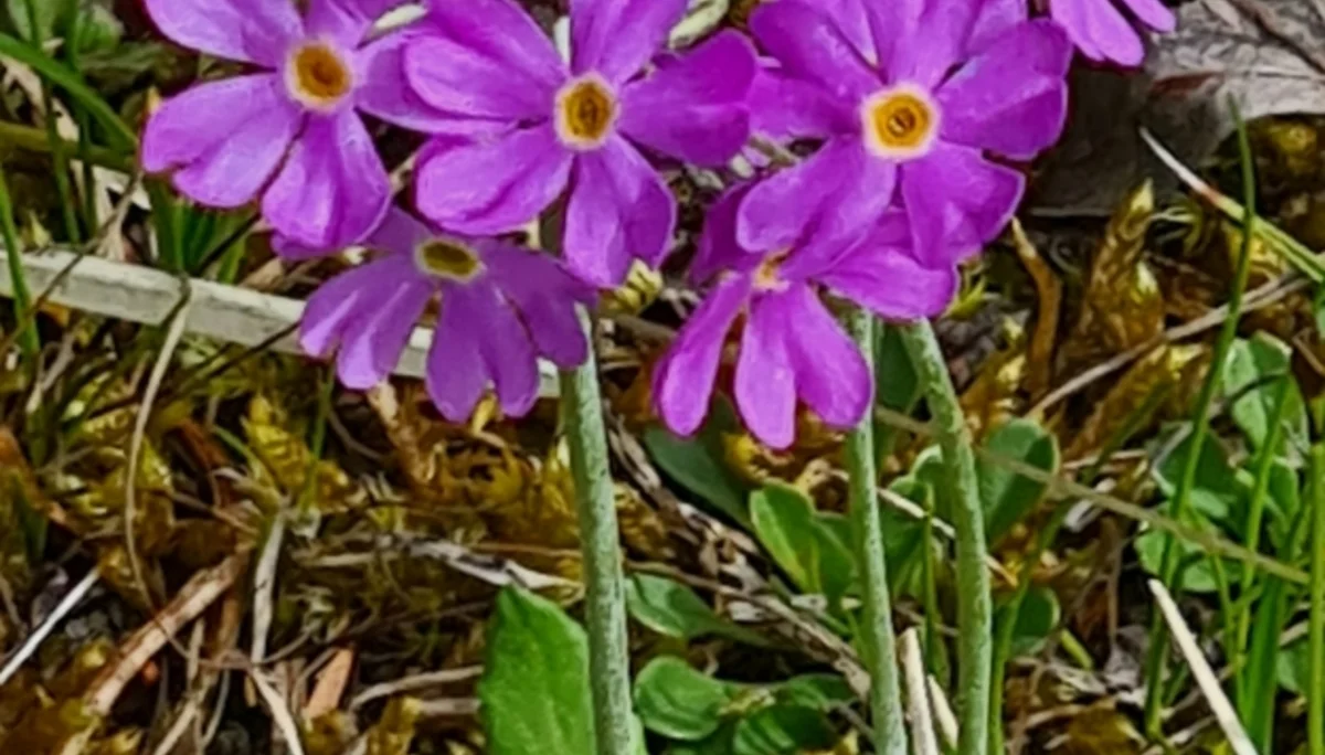 Fachexkursion | © DAV Laufen