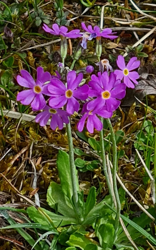 Fachexkursion | © DAV Laufen