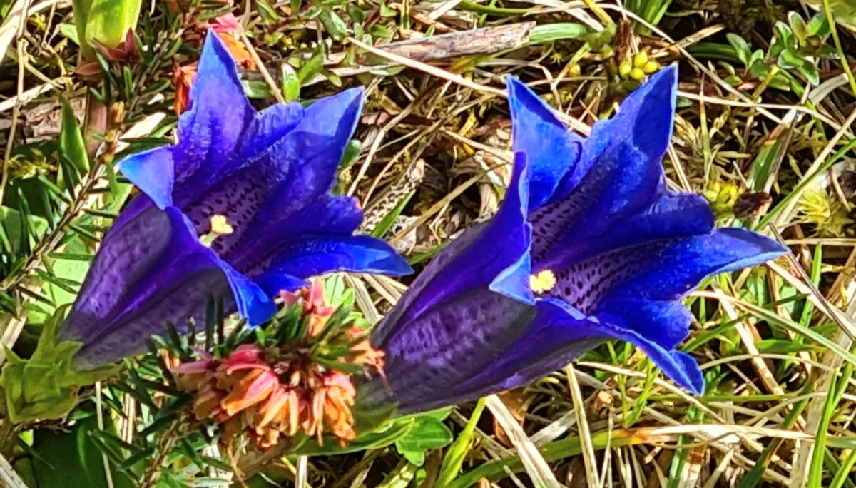 Fachexkursion | © DAV Laufen