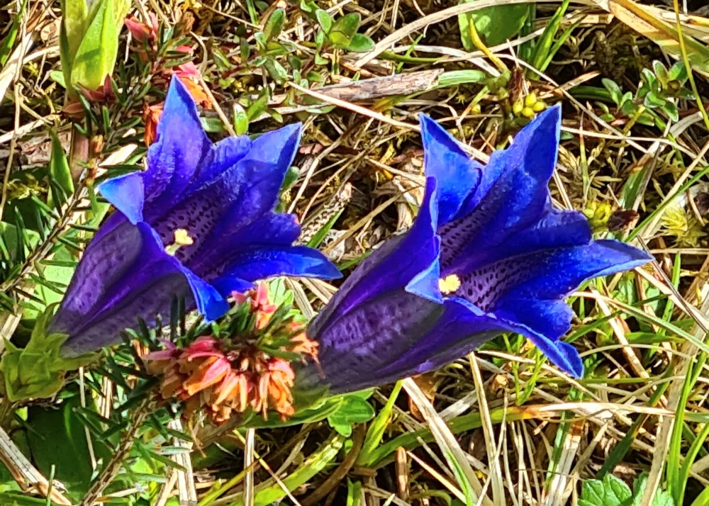 Fachexkursion | © DAV Laufen