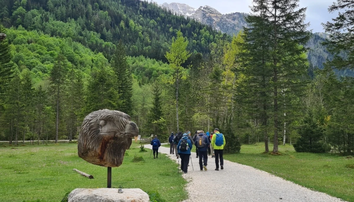 Fachexkursion | © DAV Laufen