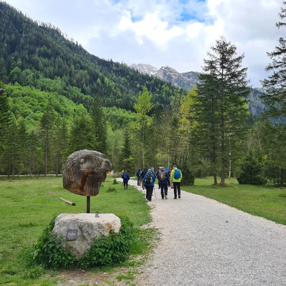 Fachexkursion | © DAV Laufen