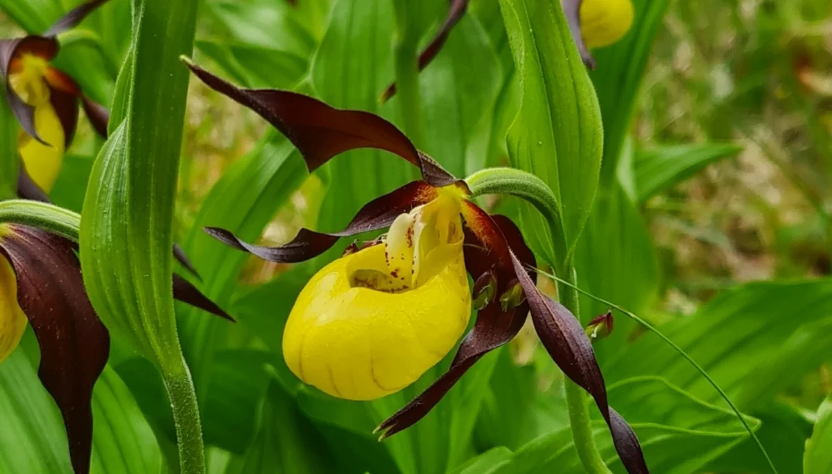 Fachexkursion | © DAV Laufen