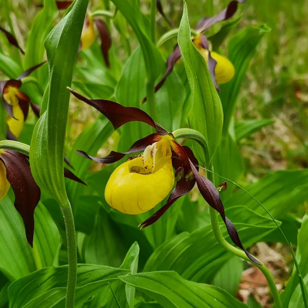 Fachexkursion | © DAV Laufen