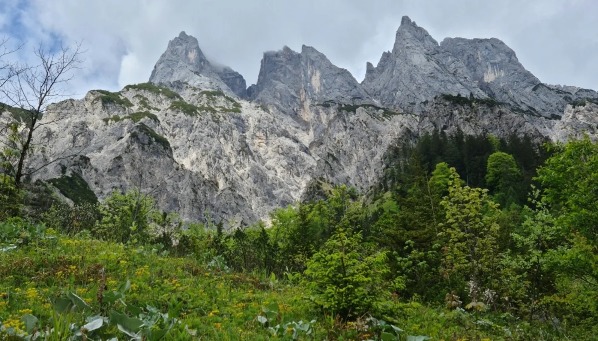 Fachexkursion | © DAV Laufen
