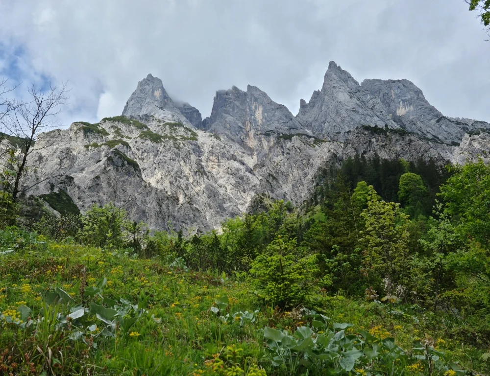 Fachexkursion | © DAV Laufen
