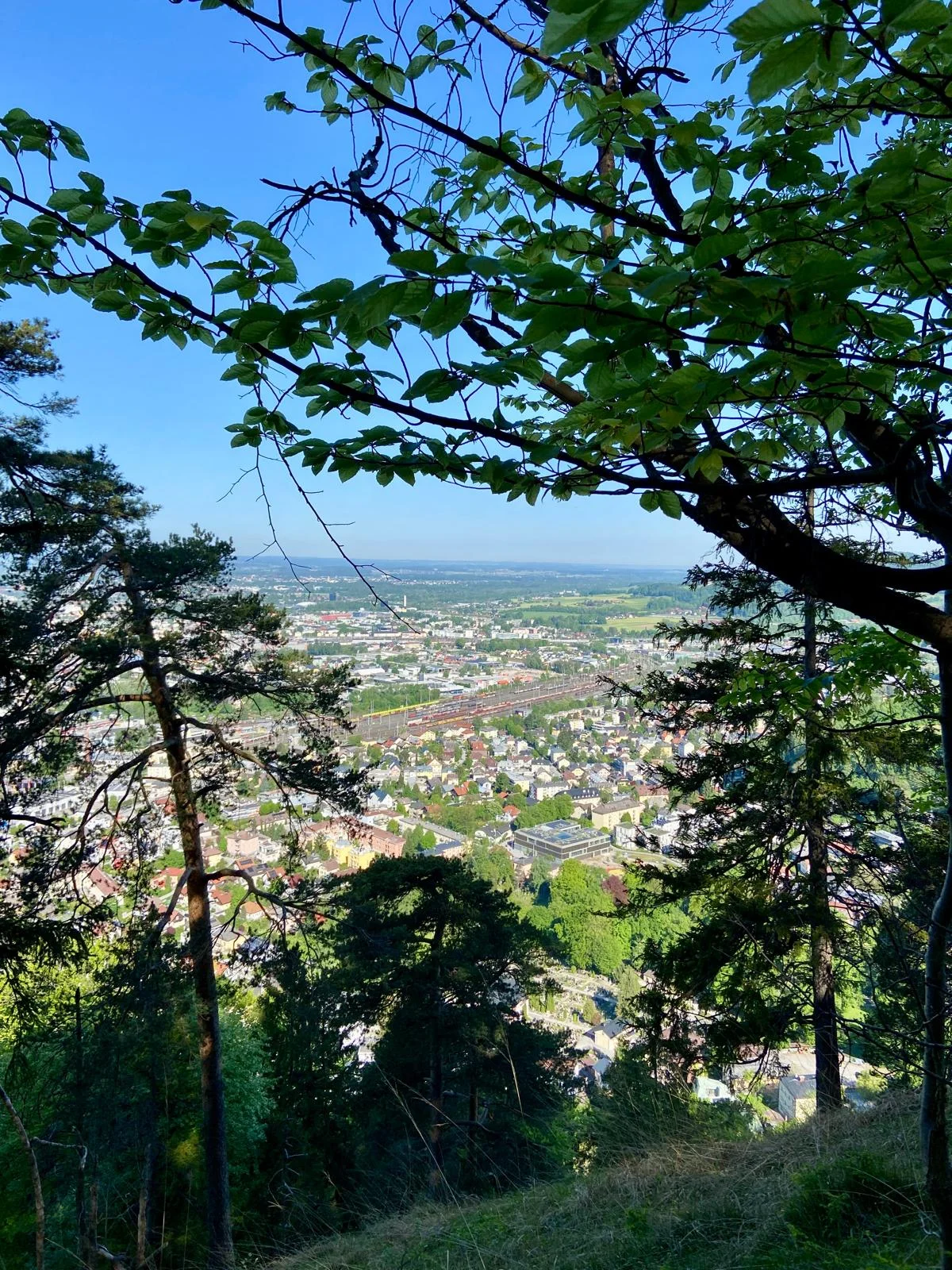 Gaisberg | © DAV Laufen