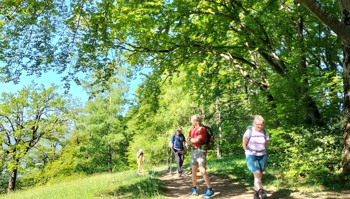 Gaisberg | © DAV Laufen