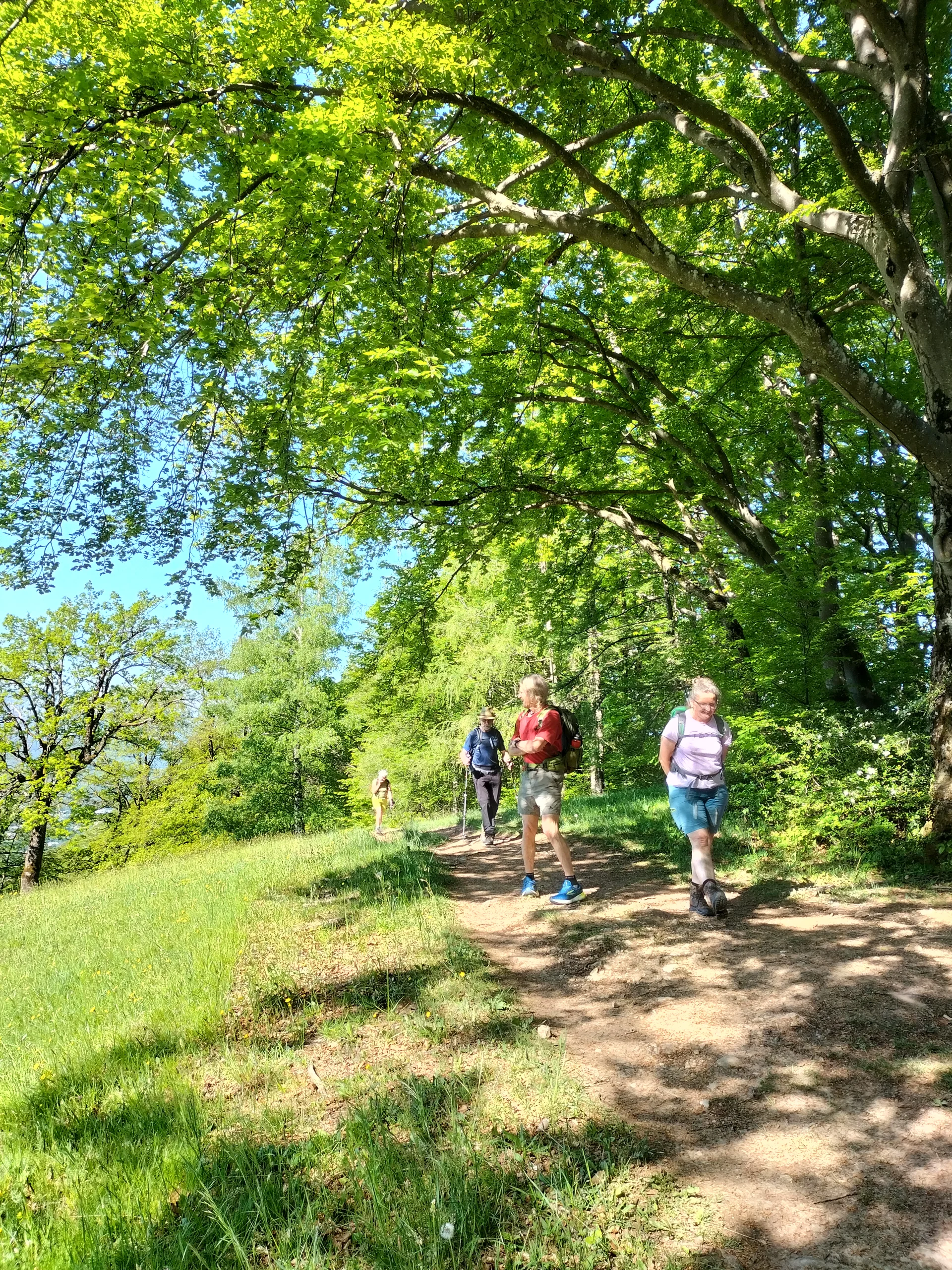 Gaisberg | © DAV Laufen