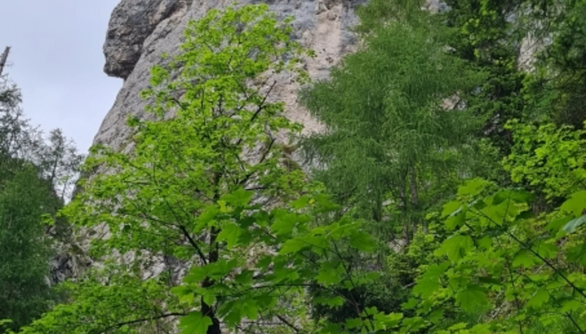 Kohler- und Gruberhörndl | © DAV Laufen