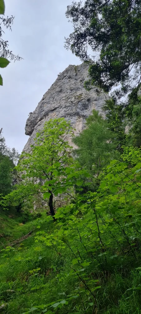 Kohler- und Gruberhörndl | © DAV Laufen