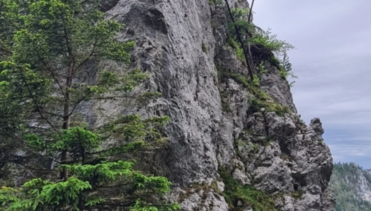 Kohler- und Gruberhörndl | © DAV Laufen