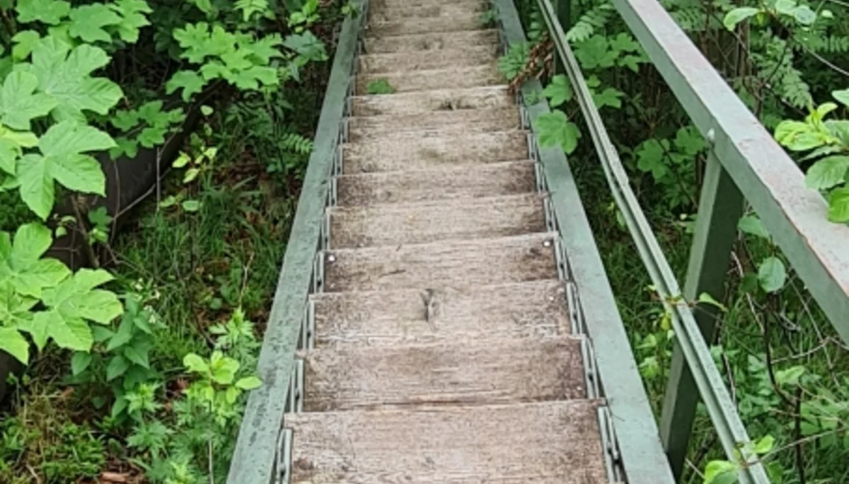 Kohler- und Gruberhörndl | © DAV Laufen